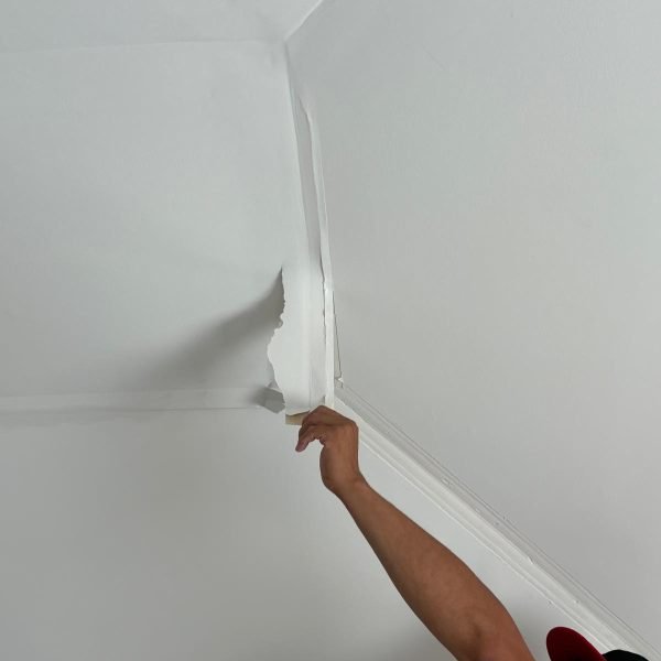 WhatsApp Image 2025-12-12 at 9.43.44 AM (1)